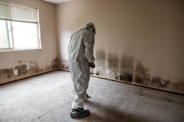 Best Mold Testing  in Jennings, MO